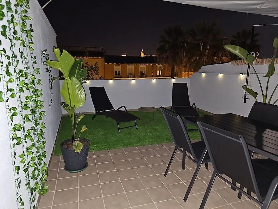 Cms Center Penthouse With Sunny Terrace & Parking Apartment Malaga
